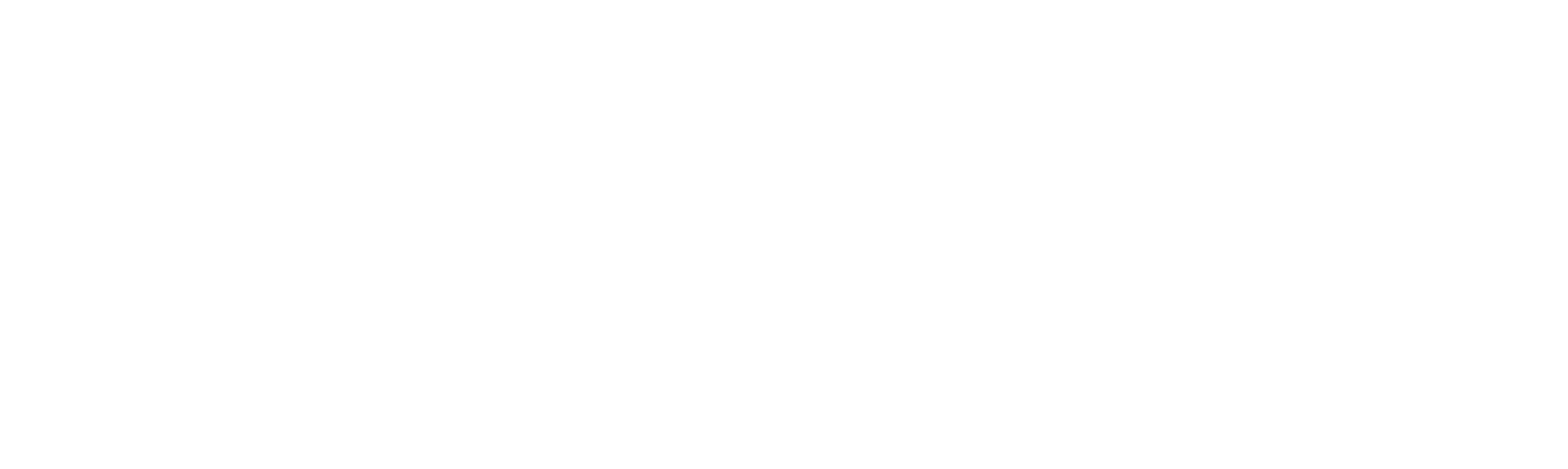 LIKE THIS Agency for Brands, Products and Culture - Est. 2018 - Logo